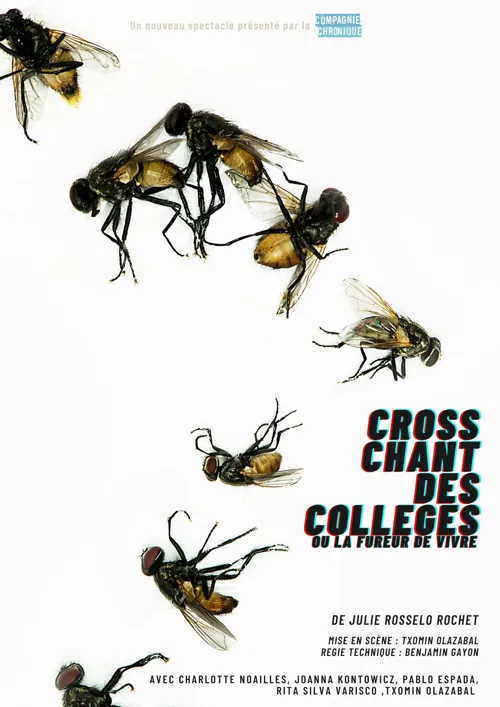 Affiche de Cross chant des collèges