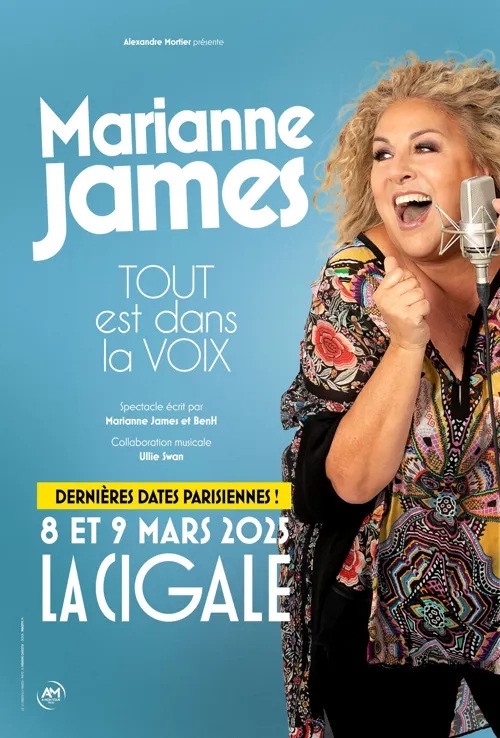 Affiche de Marianne James dans Tout est dans la voix