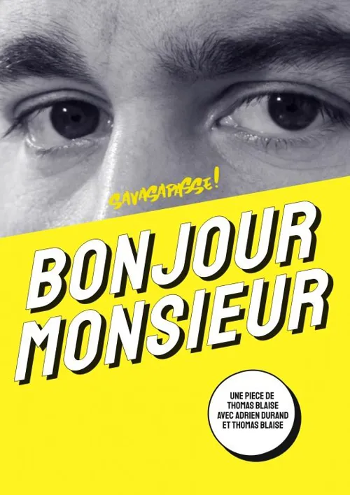 Affiche de Bonjour Monsieur