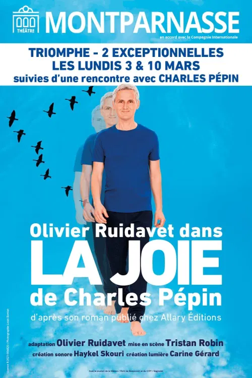 Affiche de La joie