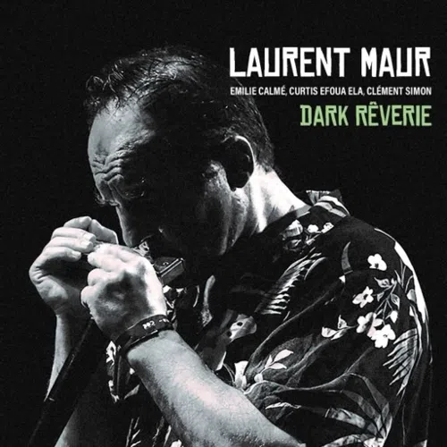 Affiche de Laurent Maur Soundscape Quartet : Dark Rêverie