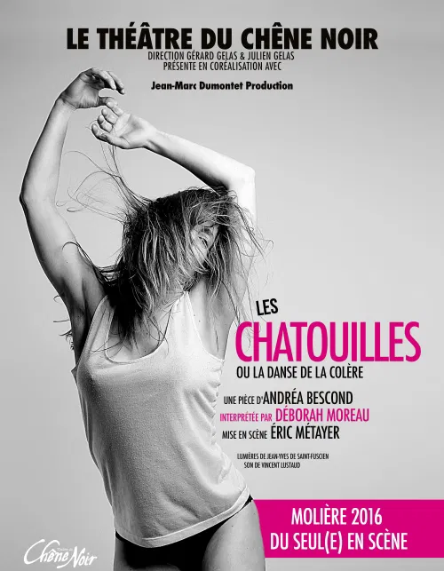 Affiche de Les Chatouilles ou la Danse de la colère