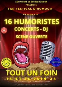 Festival Tout un foin | Pass 2 jours - 