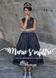Affiche de Marie s'infiltre