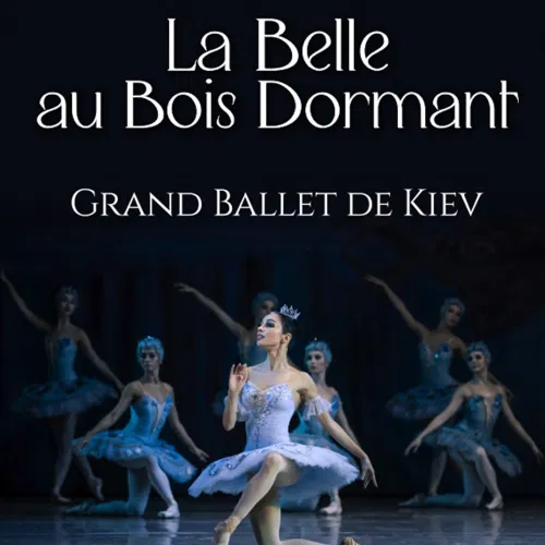 Affiche de La Belle au bois dormant