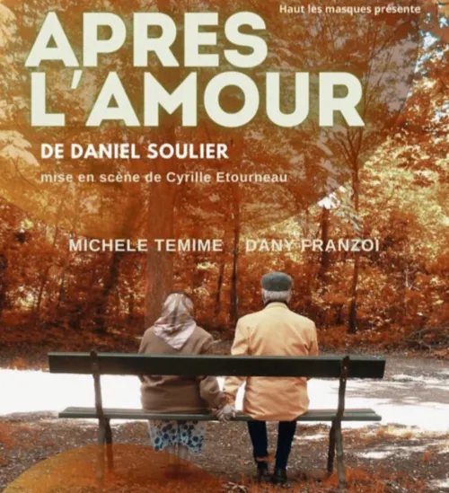 Affiche de Après l'amour