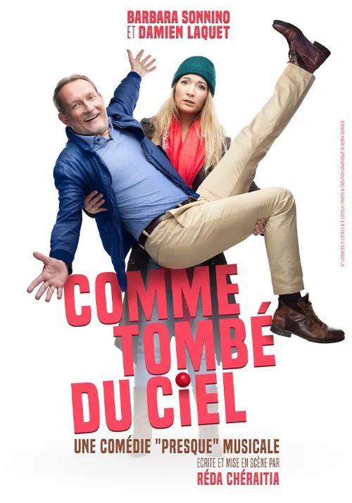 Affiche de Comme tombé du ciel