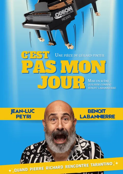 Affiche de C'est pas mon jour !
