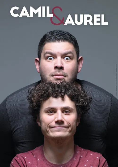 Affiche de Camil et Aurel dans un Spectacle Discret
