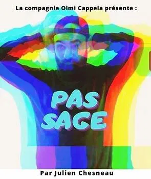 Affiche de Julien Chesneau dans Pas Sage