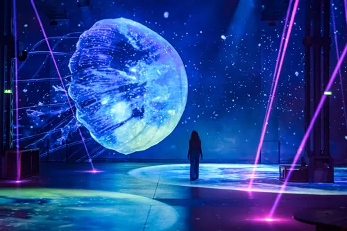 Expérience immersive Planète Océan, immersion vers les profondeurs