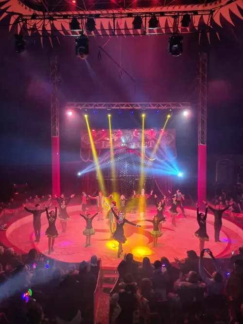 Photo 4 de Le Cirque Nicolas Zavatta Douchet dans Olé | Evreux