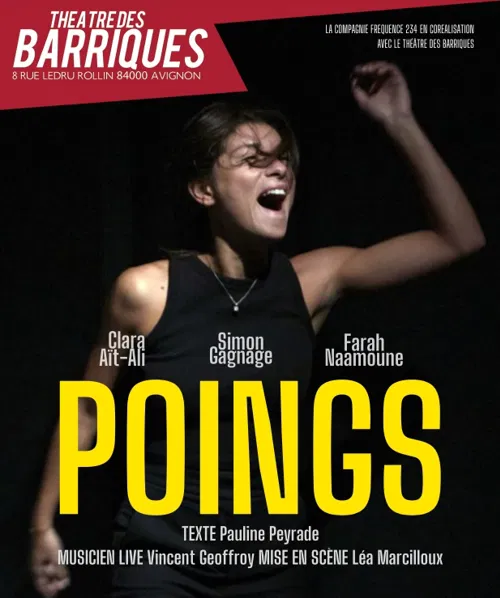 Affiche de Poings