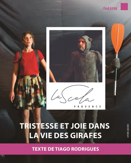 Affiche de Tristesse et joie dans la vie des girafes