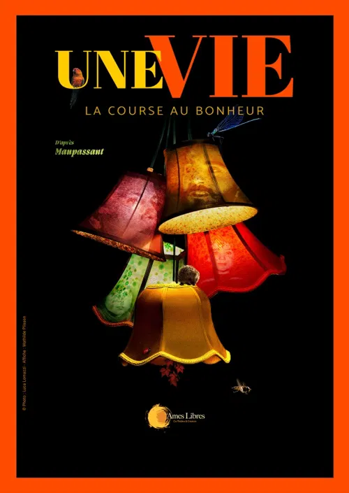 Affiche de Une vie