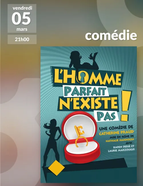 Affiche de L'homme parfait n'existe pas !