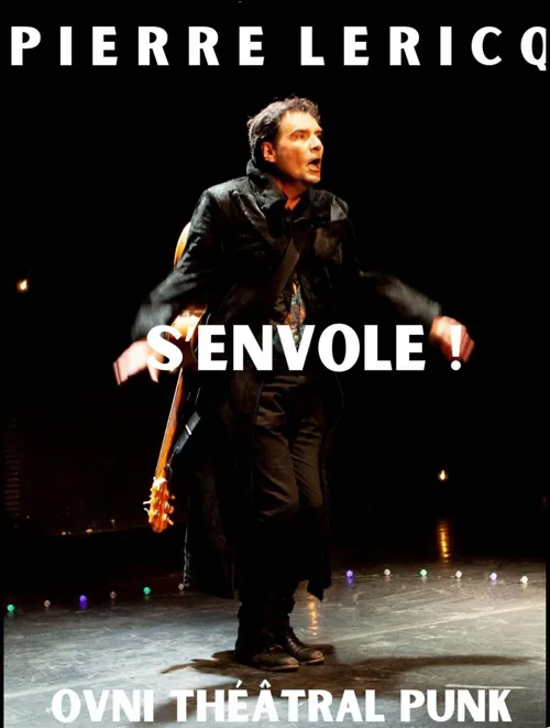 Affiche de Pierre Lericq s'envole !