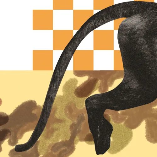 Affiche de L'Histoire de Pipì, le petit singe couleur de rose