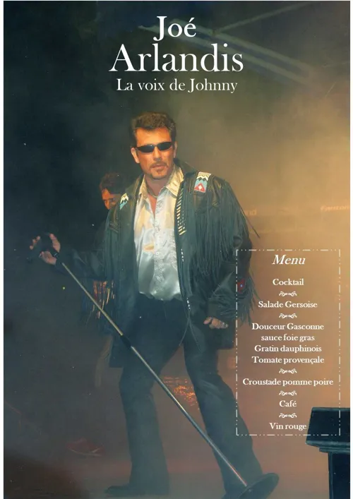 Affiche de Joe Arlandis : la voix de Johnny Hallyday