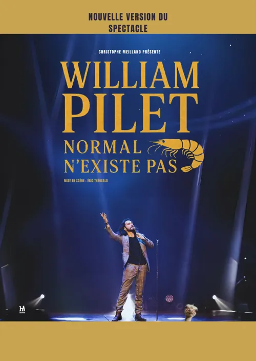 Affiche de William Pilet dans Normal n'existe pas