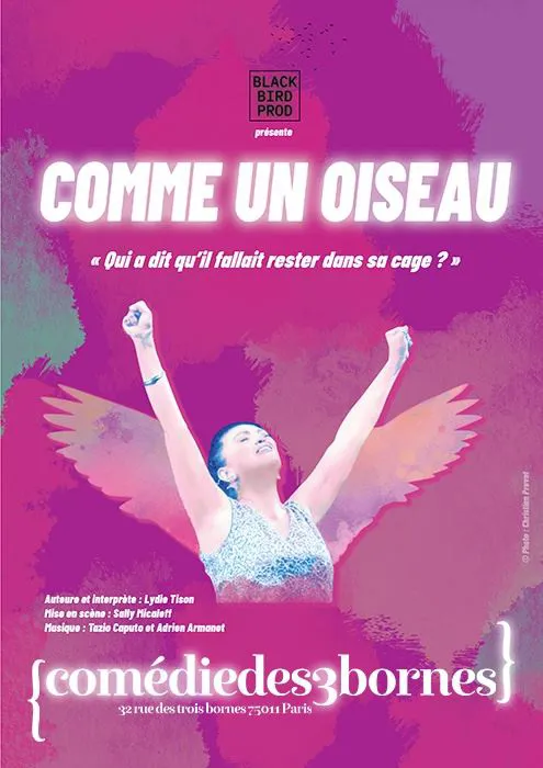 Affiche de Lydie Tison dans Comme un oiseau