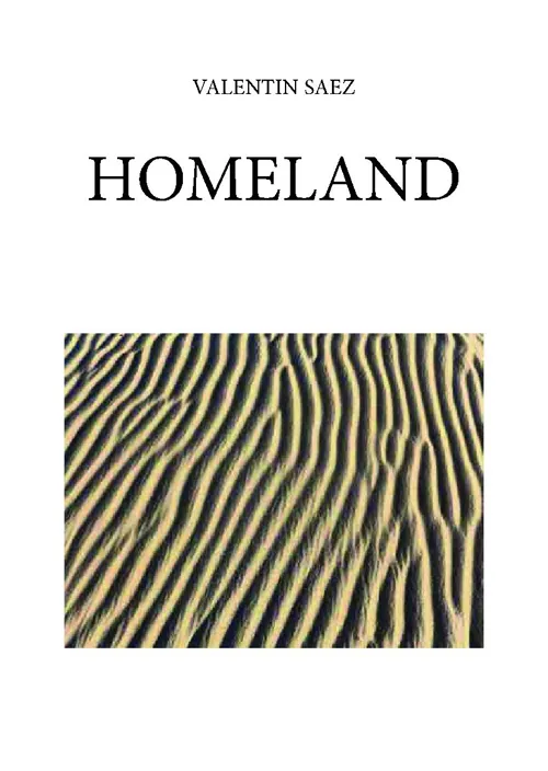 Affiche de Homeland
