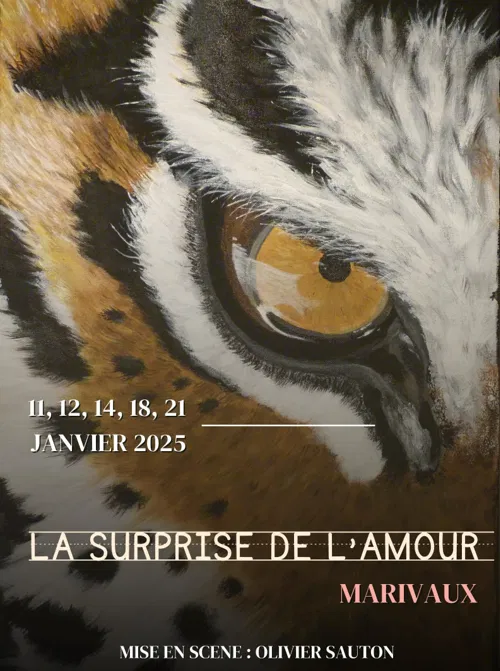 Affiche de La surprise de l'amour