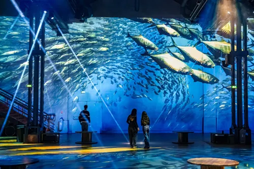 Experience Planète Océan, Immersion dans les profondeurs