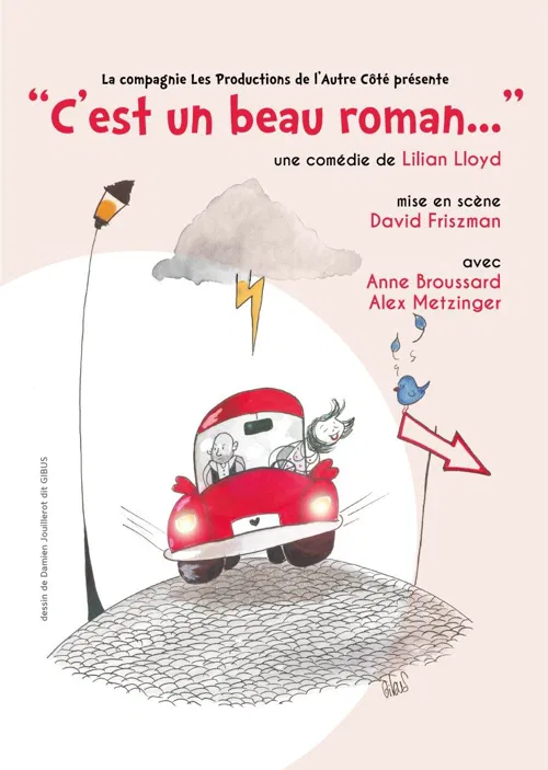 Affiche de C'est un beau roman...