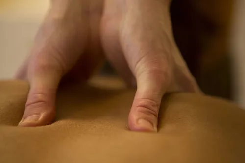 Photo 4 de Atelier massage : le dos 2
