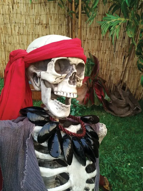 Photo 4 de Pirates : L'Ile des Naufrageurs