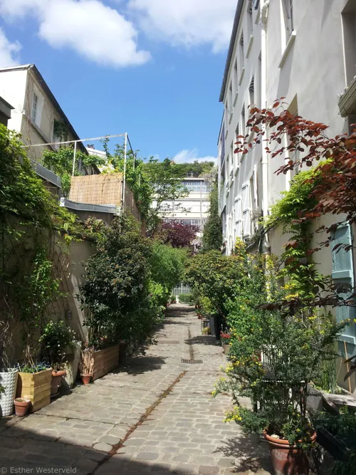 Cour Delépine