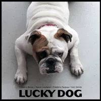 Lucky Dog - 