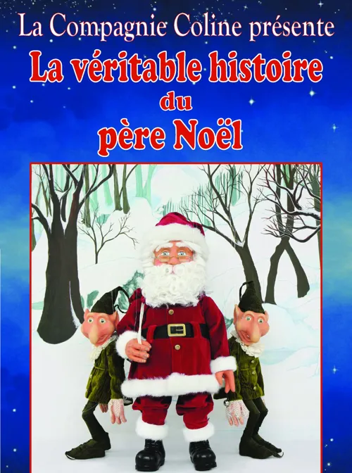 Affiche de La Véritable histoire du Père Noël