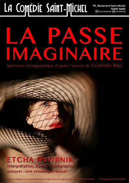Affiche de La Passe imaginaire