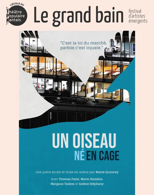 Affiche de Un oiseau né en cage
