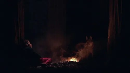 Photo 5 de Le bruit des loups