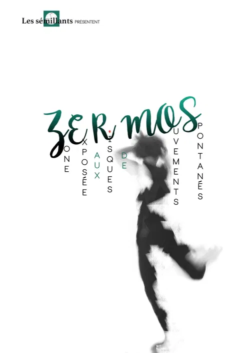 Affiche de Zermos