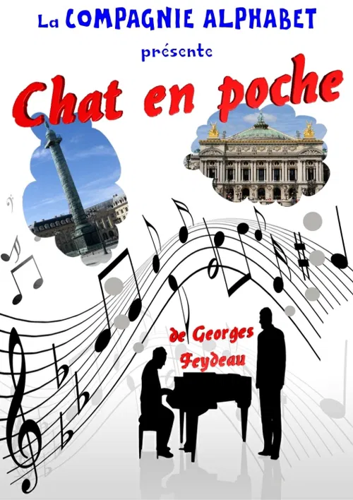 Affiche de Chat en poche