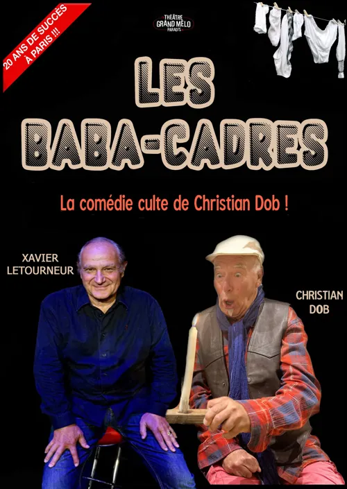 Affiche de Les baba-cadres