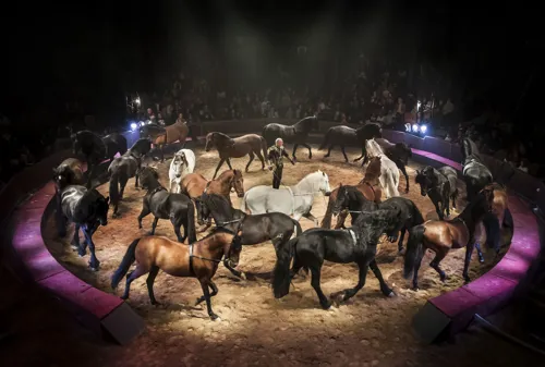 Famille GRuss : le Caroussel