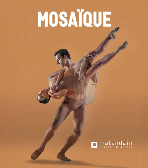 Affiche de Mosaïque
