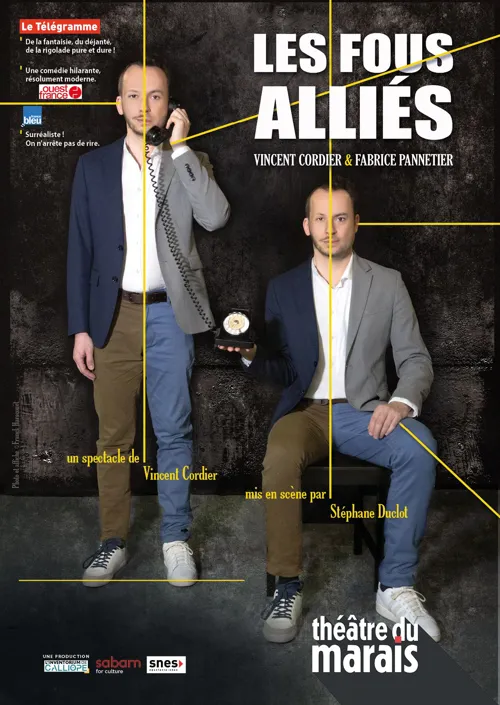 Affiche de Les fous alliés