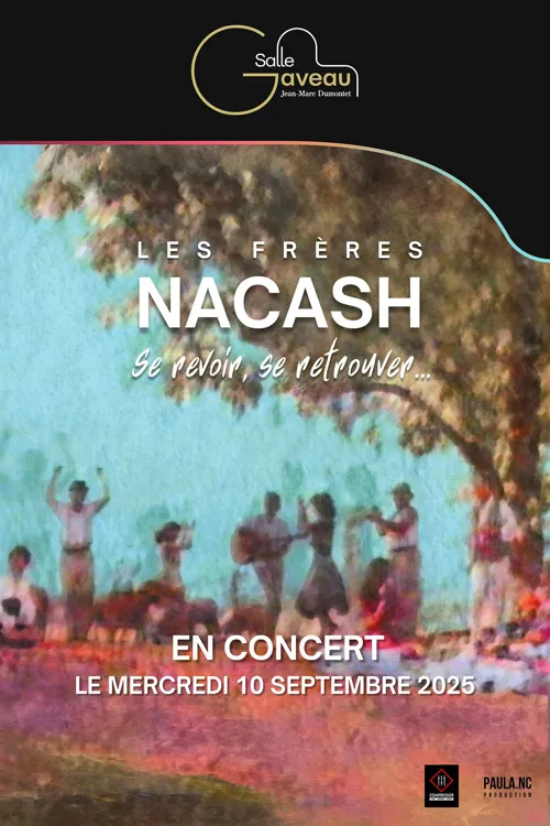 Affiche de Les Frères Nacash