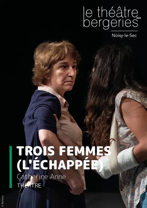 Affiche de Trois femmes (L'échappée)
