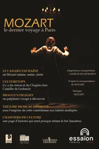 Affiche de Mozart, le dernier voyage à Paris
