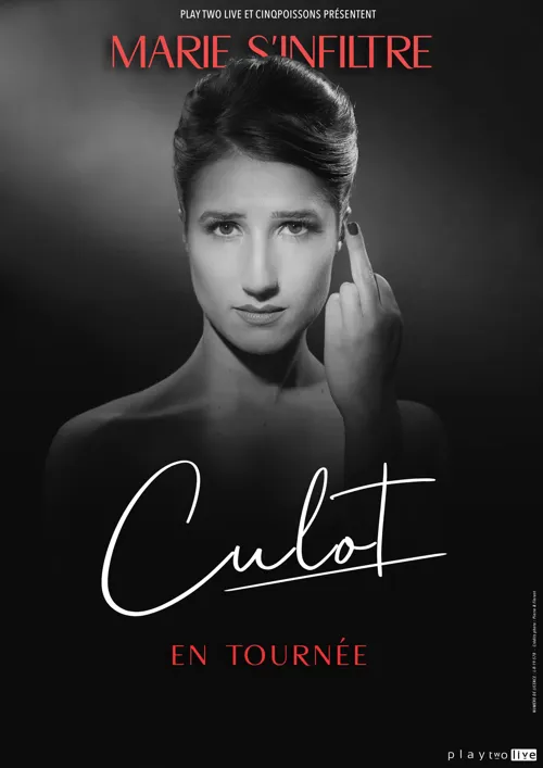Affiche de Marie s'infiltre dans Culot