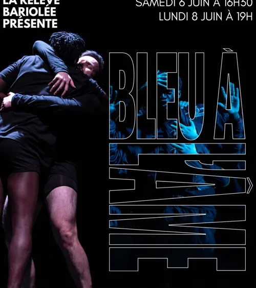 Affiche de Bleu à l'âme