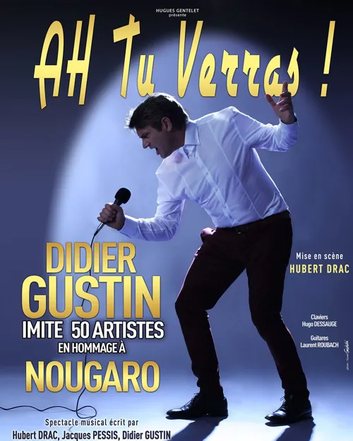 Affiche de Didier Gustin dans Ah tu verras