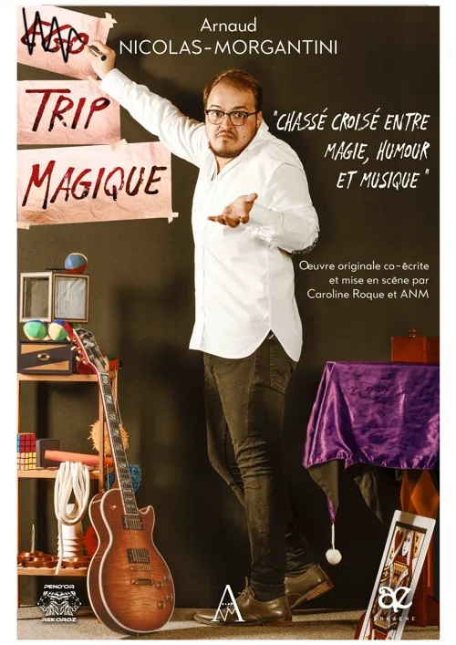 Affiche de Ego trip magique